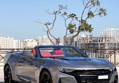 صورة-٢٩‏-١٠‏-٢٠٢٤-في-الساعة-٥.٤١-م