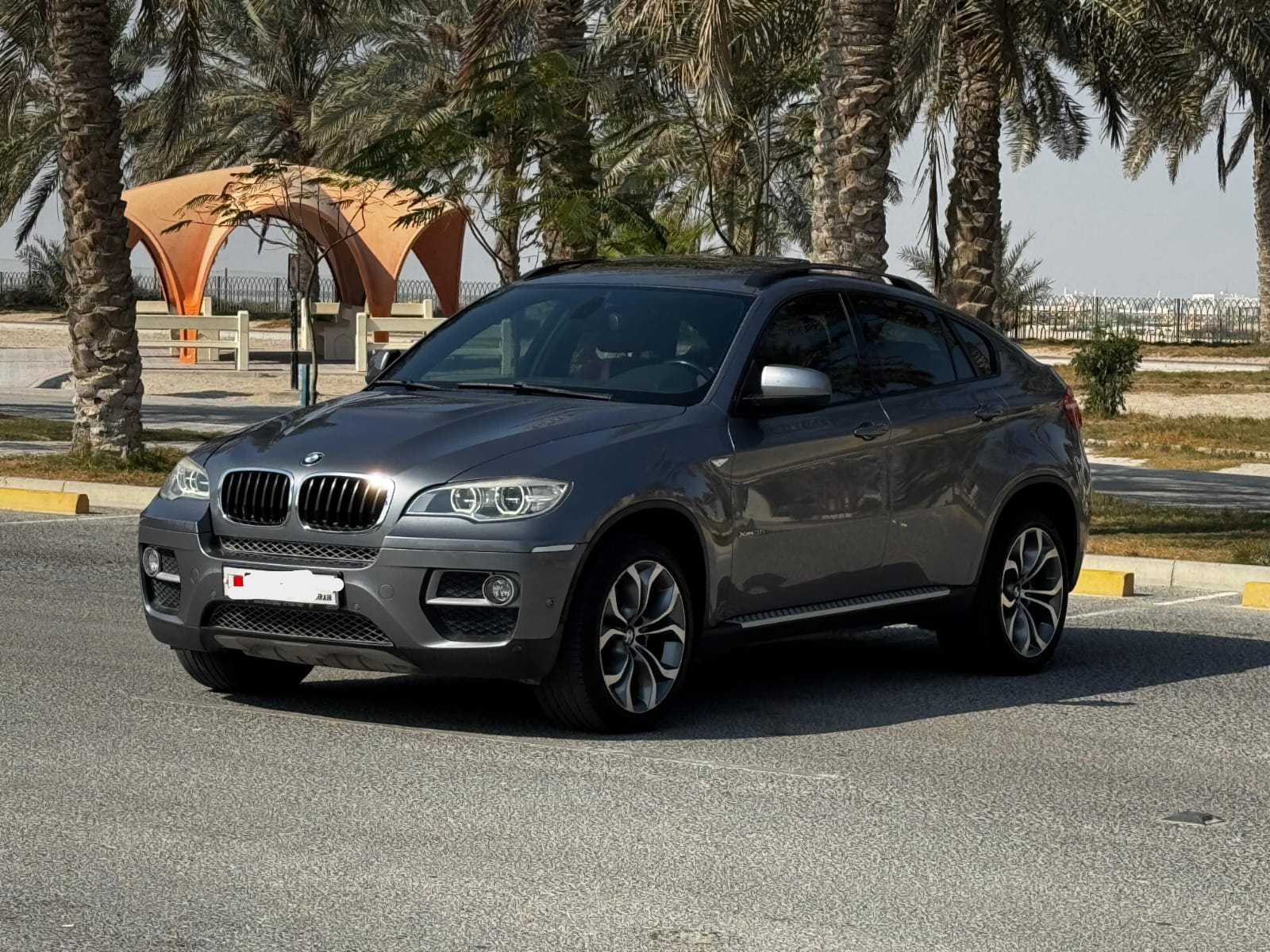 BMW X6 / 2014 (Grey)