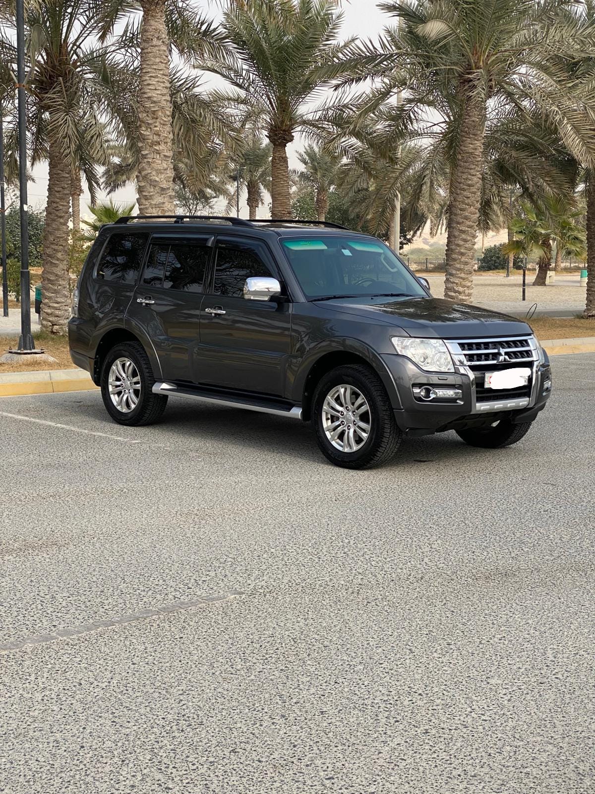2018 Mitsubishi Pajero GLS (Grey)
