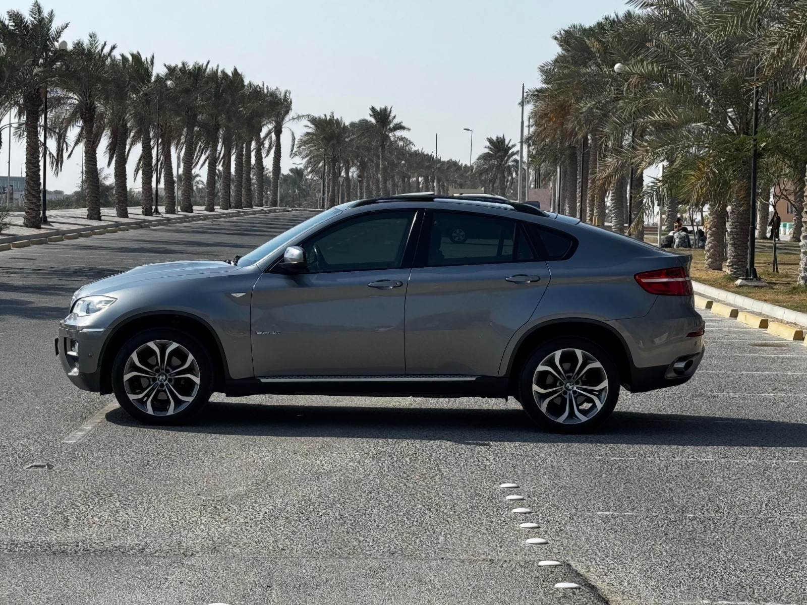 BMW X6 / 2014 (Grey)