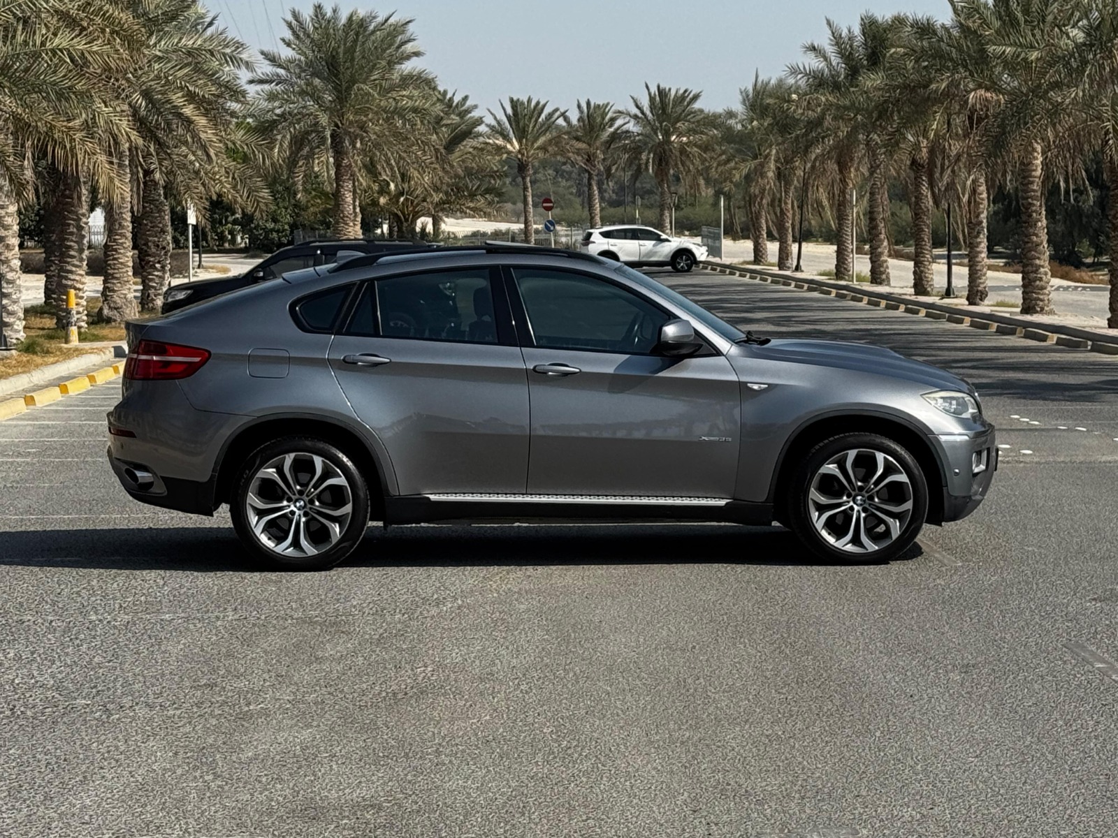 BMW X6 / 2014 (Grey)