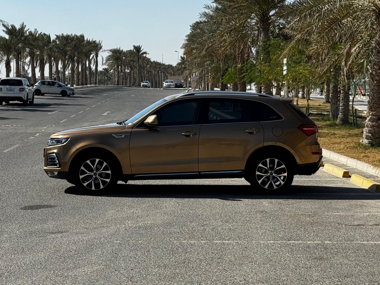 Zotye T600 2019 (Gold)