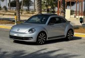 🚗 2015 Volkswagen Beetle (Silver)