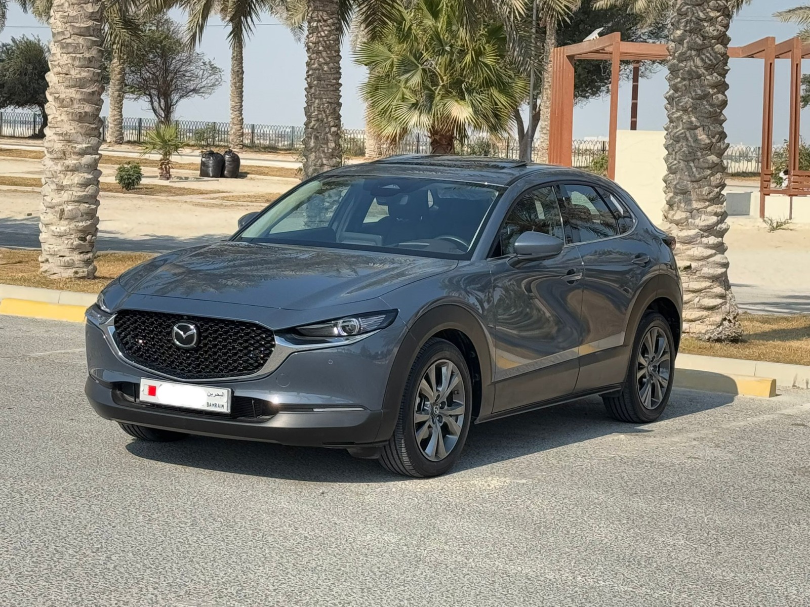 🚗 Mazda CX-30 2024 (Grey) 🚗