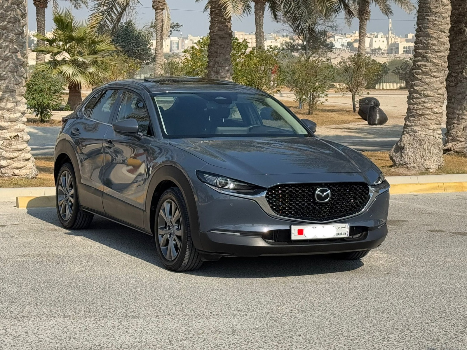 🚗 Mazda CX-30 2024 (Grey) 🚗
