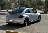 🚗 2015 Volkswagen Beetle (Silver)