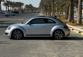 🚗 2015 Volkswagen Beetle (Silver)