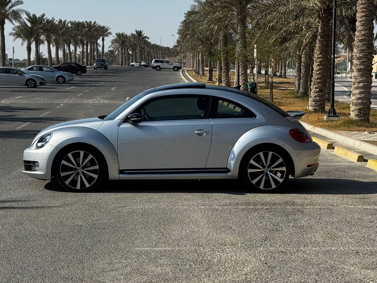 🚗 2015 Volkswagen Beetle (Silver)