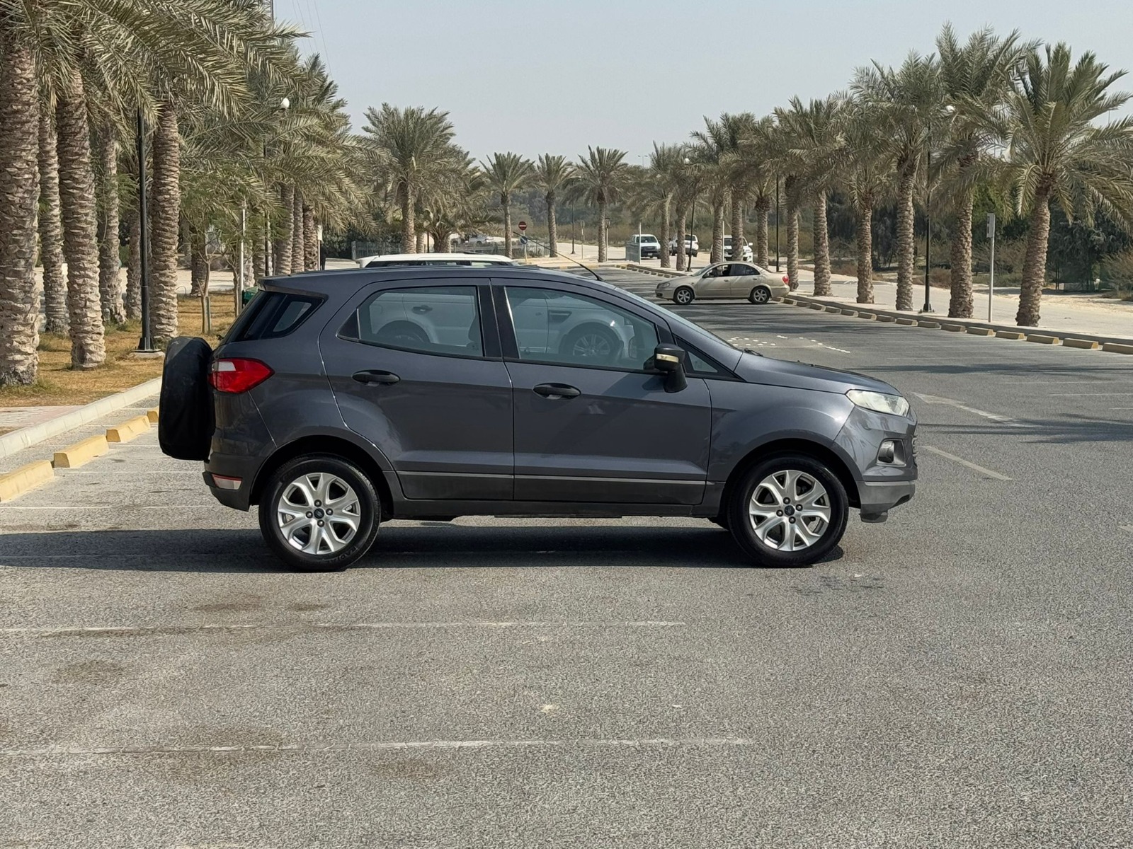 🚗 For Sale: 2017 Ford Ecosport (Grey)