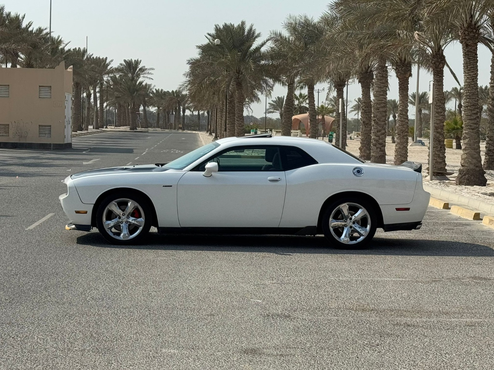 🚗💨 For Sale: 2013 Dodge Challenger R/T (White&Black)